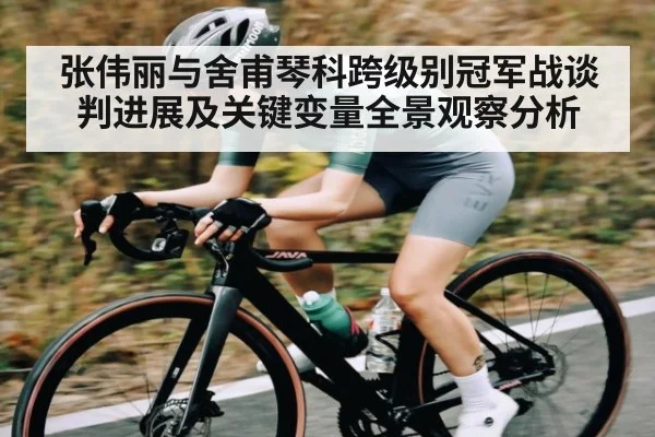 张伟丽与舍甫琴科跨级别冠军战谈判进展及关键变量全景观察分析